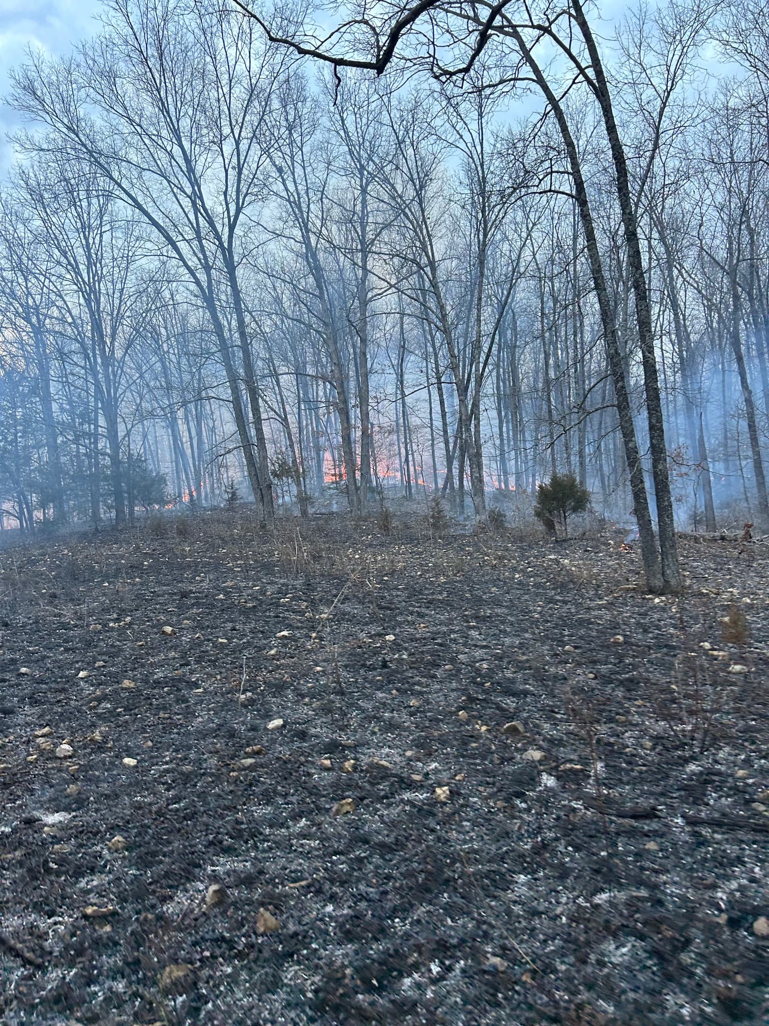 Prescribed burn