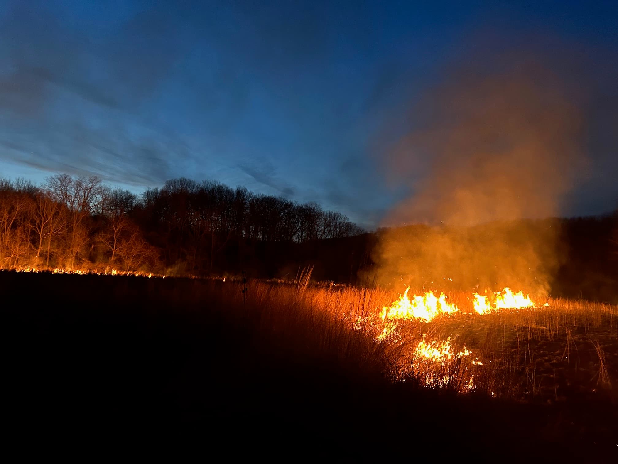Prescribed burn fire line