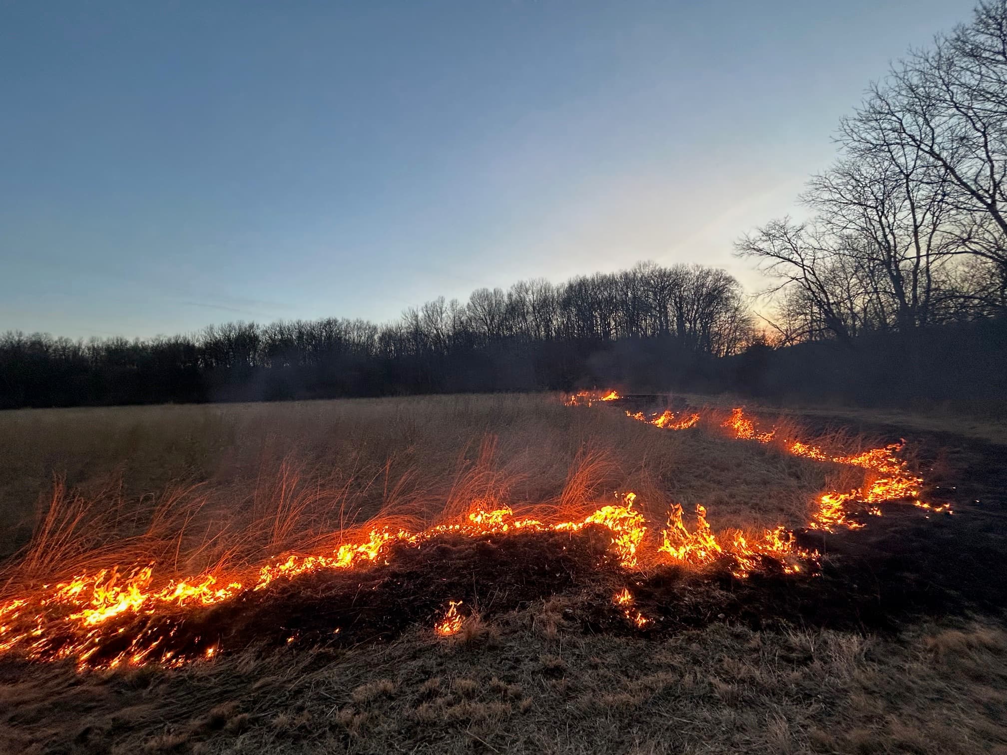 Prescribed burn