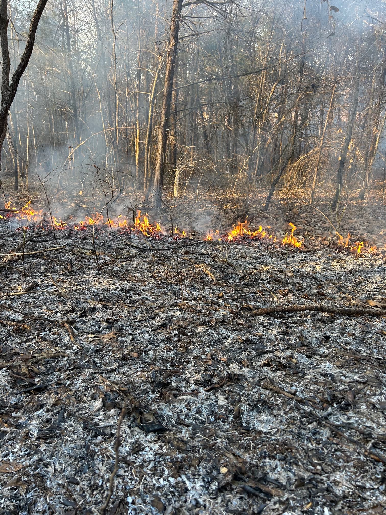 Prescribed burn